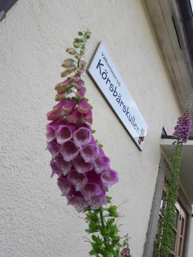 Koersbaerskullen Hostel Vimmerby Εξωτερικό φωτογραφία
